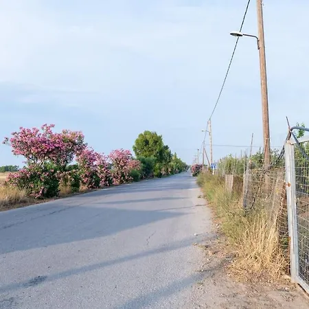 Apartment Zografia - Charming House Near The Coast *