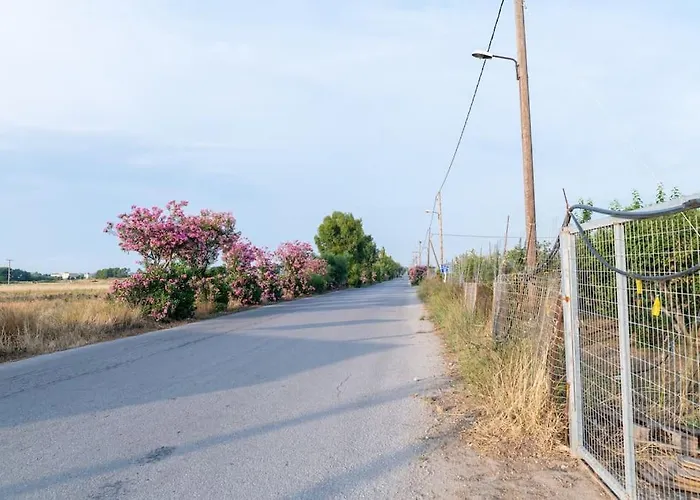 Apartman Zografia - Charming House Near The Coast *